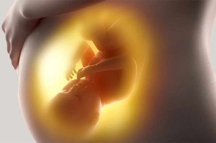 путь передачи сальмонеллеза